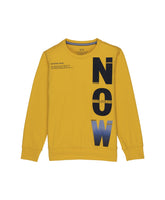 round neck sweatshirt for boys